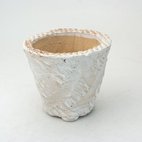 新品「多肉植物の欲しがる植木鉢」2.5号相当 特価24個セット 送料無料！ 楽天市場】2．5号 多肉の通販