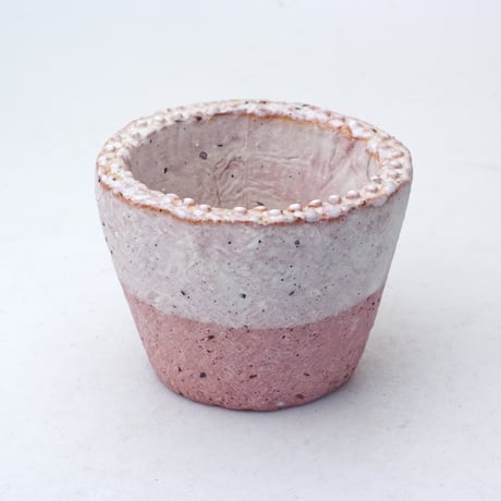 新品「多肉植物の欲しがる植木鉢」2.5号相当 特価24個セット 送料無料！ fit=scale-down,w=1200