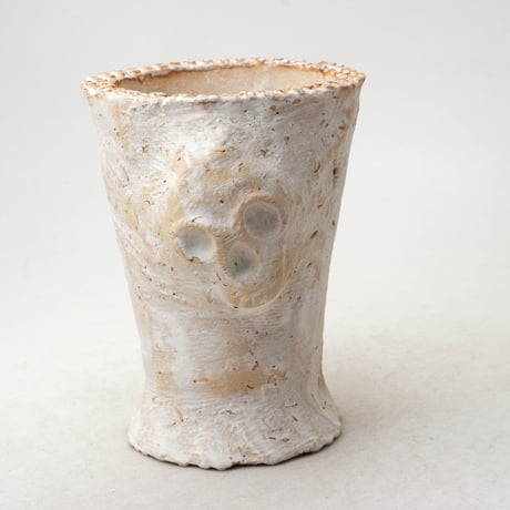 多肉植物の欲しがる植木鉢 2.5号24個20%off送料無料 fit=scale-down,w=1200