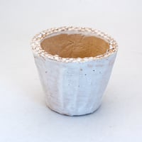 陶器製（2.5号ポット相当）多肉植物の欲しがる植木鉢 SMS-2243