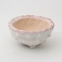 陶器製　多肉植物の欲しがる植木鉢 WMc-ピンク2137