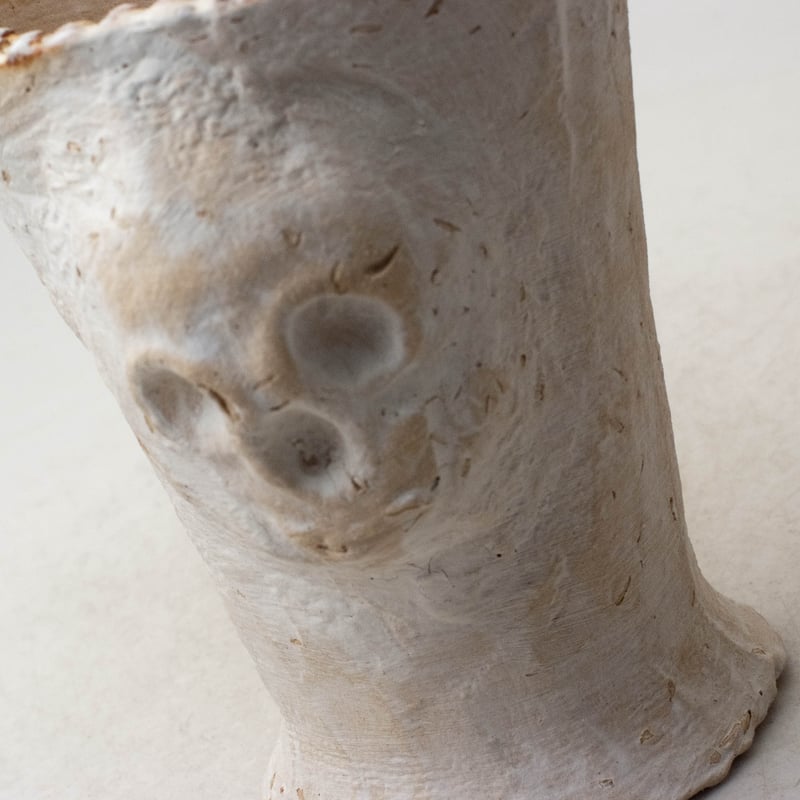 陶器製（2.5号ポット相当）多肉植物の欲しがる植木鉢 WPHskull-8285