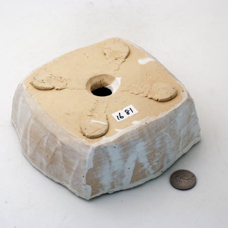 陶器製　多肉植物の欲しがる植木鉢 AQSd-1681