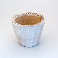 陶器製（2.5号ポット相当）多肉植物の欲しがる植木鉢 SMS-2246