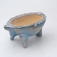 陶器製　多肉植物の欲しがる植木鉢 COW-SS-1959