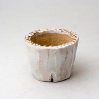 陶器製（２号ポット相当）多肉植物の欲しがる植木鉢 PR-2565
