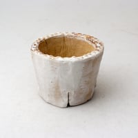 陶器製（２号ポット相当）多肉植物の欲しがる植木鉢 PR-2566
