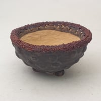 陶器製　多肉植物の欲しがる植木鉢 WMc-ブラウン2133