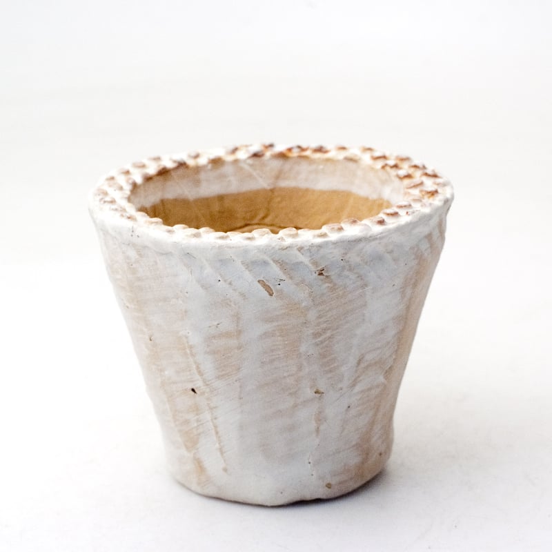 多肉植物の欲しがる植木鉢 NSSS-(2号相当) 24個セット | design