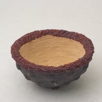 陶器製　多肉植物の欲しがる植木鉢 WMc-ブラウン2132