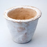 陶器製（3.5号ポット相当）多肉植物の欲しがる植木鉢 OPL-1991