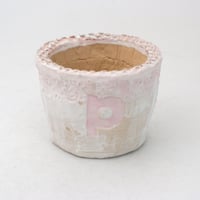 陶器製（2号ポット相当）多肉植物の欲しがる植木鉢 PSc-ピンク 2065