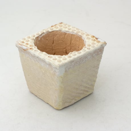陶器製　多肉植物の欲しがる植木鉢 ICScd角-イエロー1729