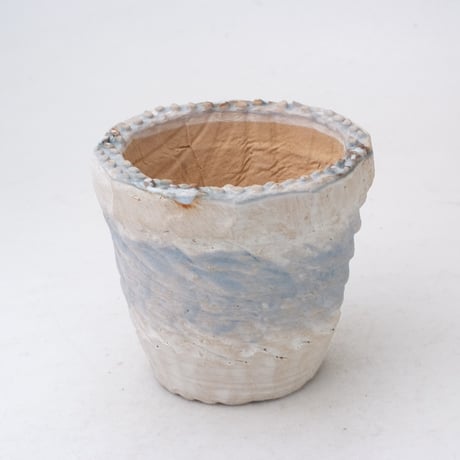 新品「多肉植物の欲しがる植木鉢」2.5号相当 特価24個セット 送料無料！ fit=scale-down,w=1200