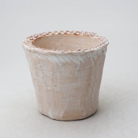 陶器製（2.5号ポット相当）多肉植物の欲しがる植木鉢 NSS-7929