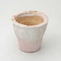 陶器製　多肉植物の欲しがる植木鉢 ICSc-ピンク1715