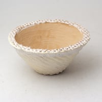 陶器製　多肉植物の欲しがる植木鉢 CCc-イエロー2533