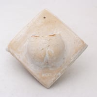 陶器製 多肉植物の欲しがる植木鉢   AZ-1854