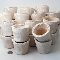 多肉植物の欲しがる植木鉢　NSSS-(2号相当) 24個セット