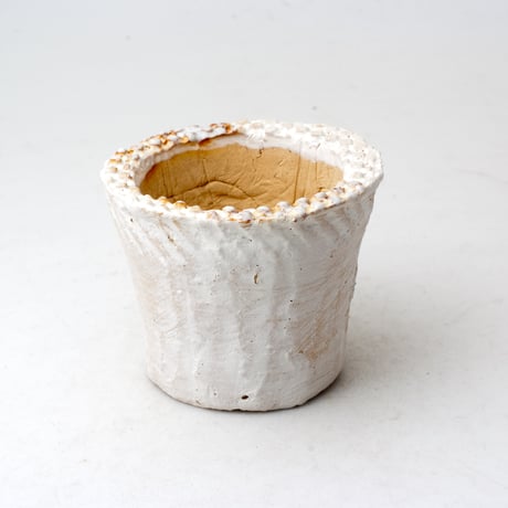CATEGORY 多肉植物の欲しがる植木鉢（籾殻練込） | design &crafts POTS