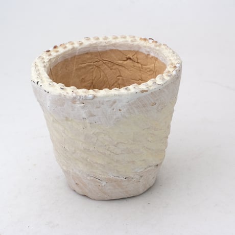 CATEGORY 2-2.5号鉢相当 | design &crafts POTS