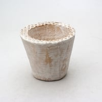 陶器製（２号ポット相当）多肉植物の欲しがる植木鉢　 AAA-2271