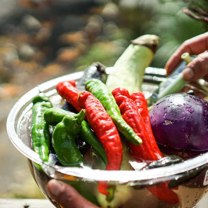 スチドラ】パインとバナナ / ミニトマト / レモングラス | 蒸士茶楼