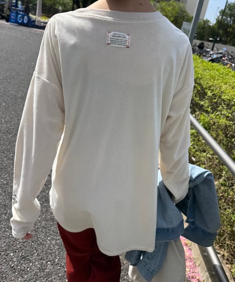 袖ワンポイント刺繍シアーベロアロンT(アイボリー)
