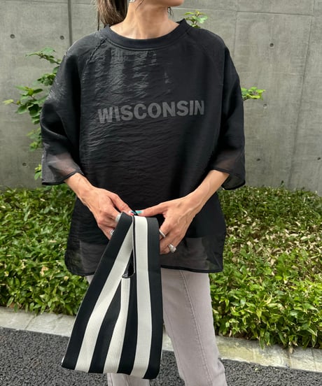 オーガンジーレイヤードロゴTシャツ(ブラック)