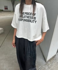 ピグメント加工ロゴプリントtシャツ (オフホワイト)