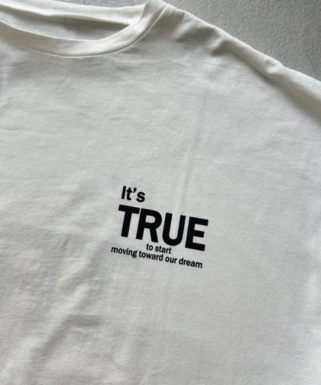 バックプリントビッグtシャツ (ホワイト)