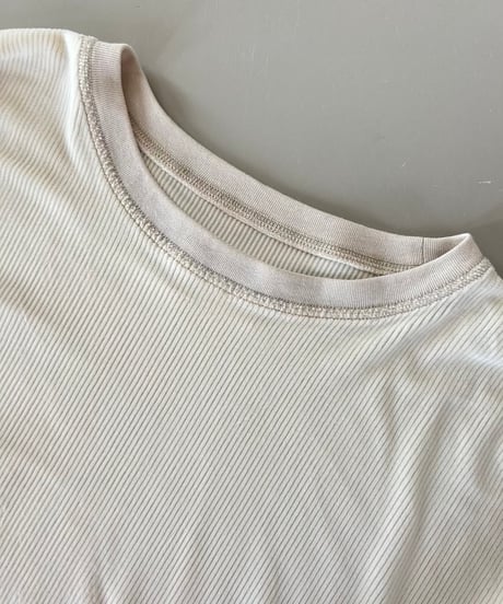 袖ワンポイント刺繍シアーベロアロンT(アイボリー)