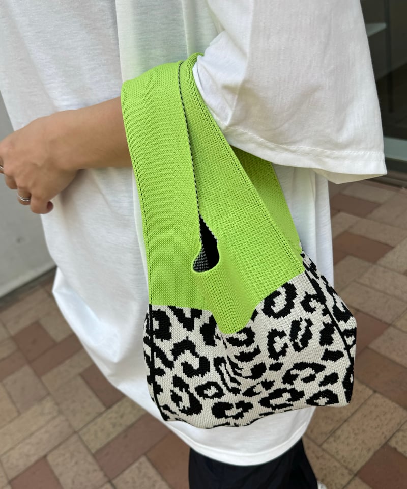 【美品】Herve レオパ　ミニバッグ Herve Chapelier（エルベシャプリエ） ショルダーバッグ 2885F