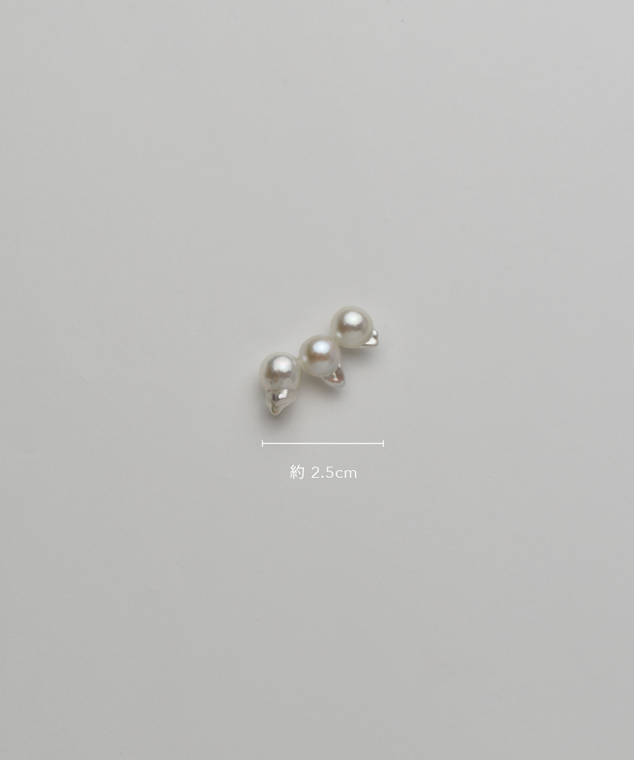 claw 〈single〉 | ripsalis