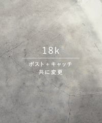 18k ピアスポスト変更 + 18kシリコンキャッチ