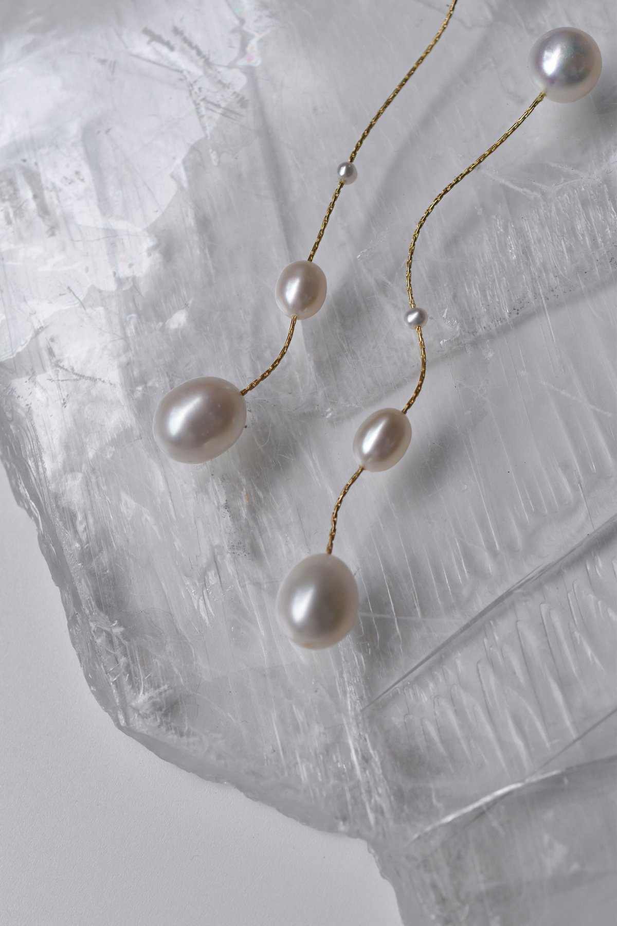 gradation dot | ripsalis