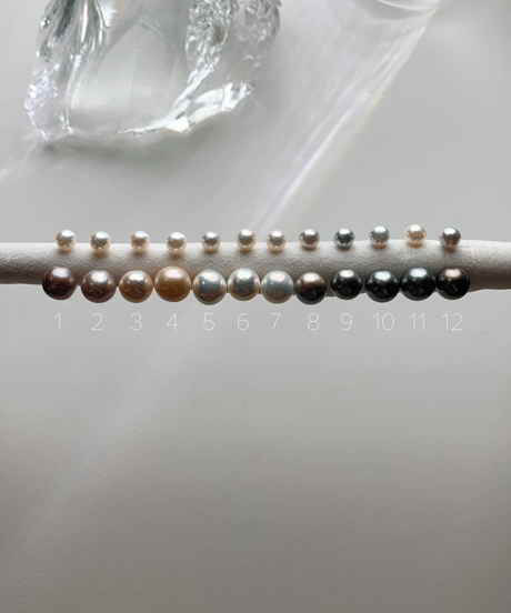 ripsalis fall〈pearl top〉 9cm 箱付き fall〈pearl top〉 | ripsalis