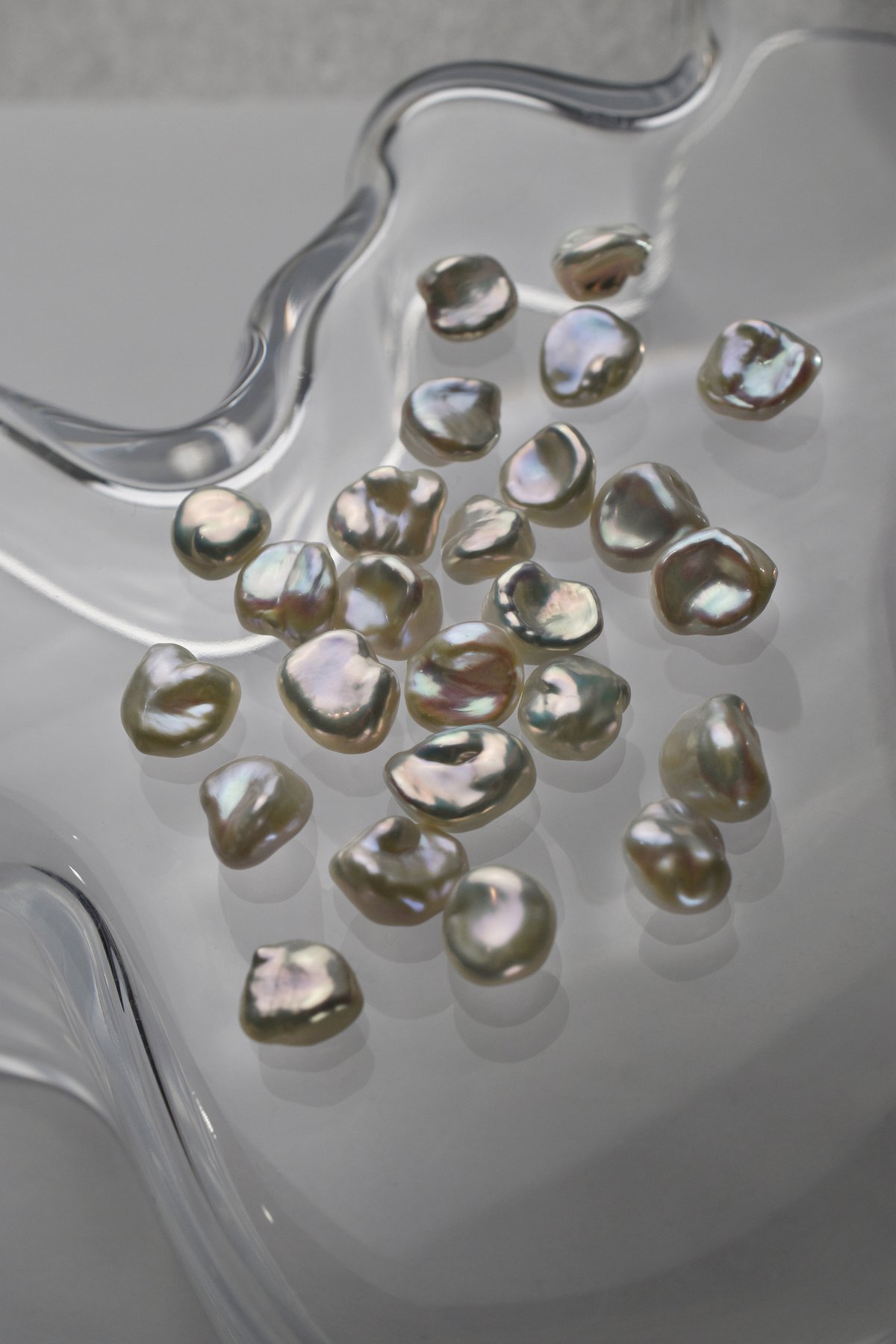 mame pearl（white） | ripsalis