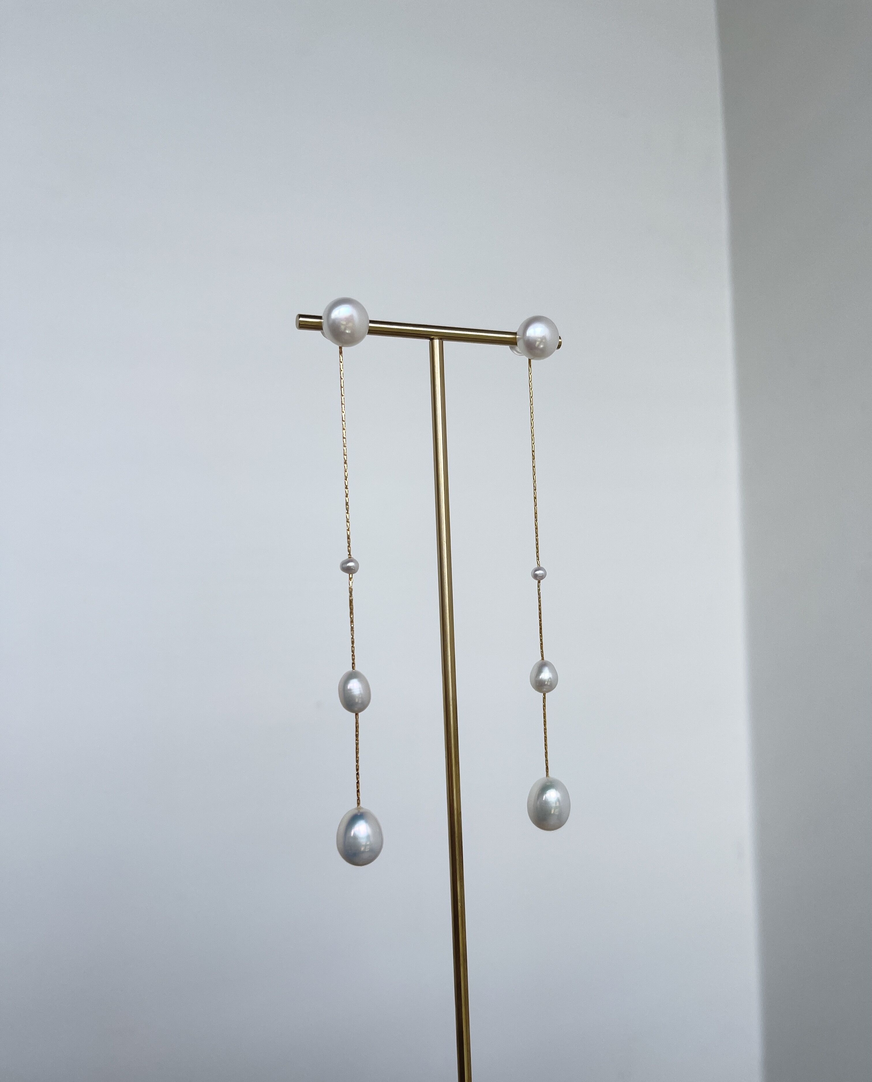 gradation dot | ripsalis