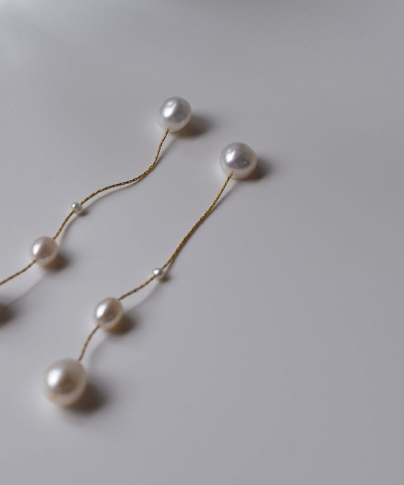 gradation dot | ripsalis