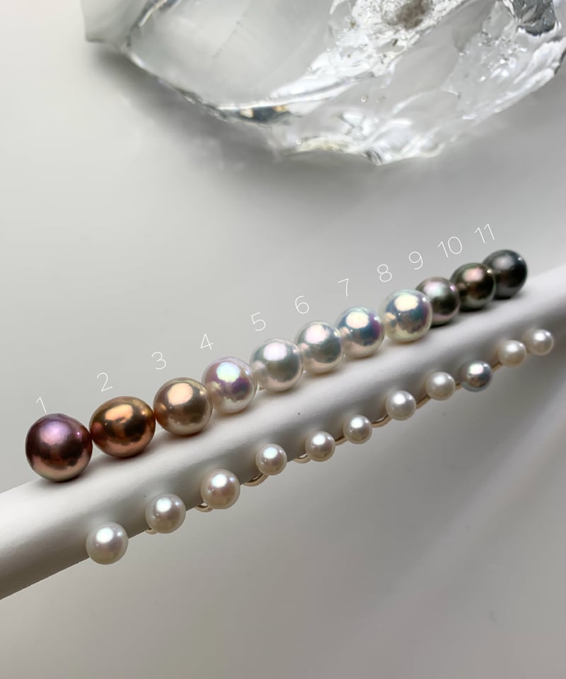 ripsalis リプサリスweeble ring パールリング