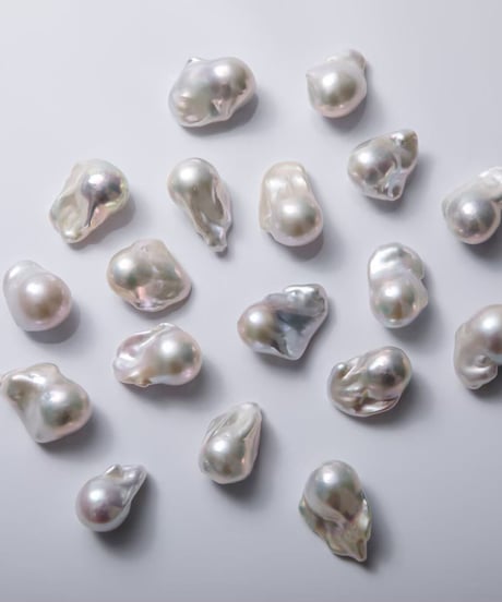 [nude] OYSTER pearl norm necklace【Sランク】