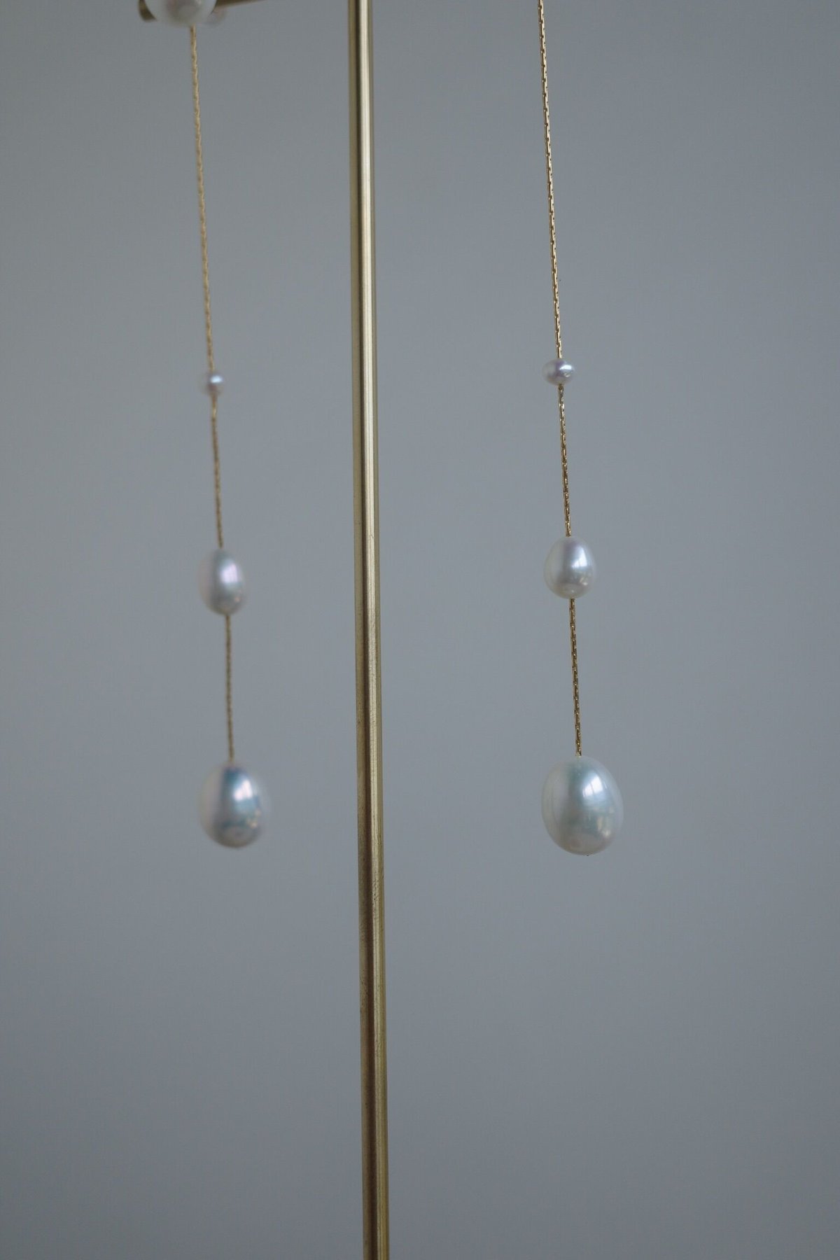 gradation dot | ripsalis