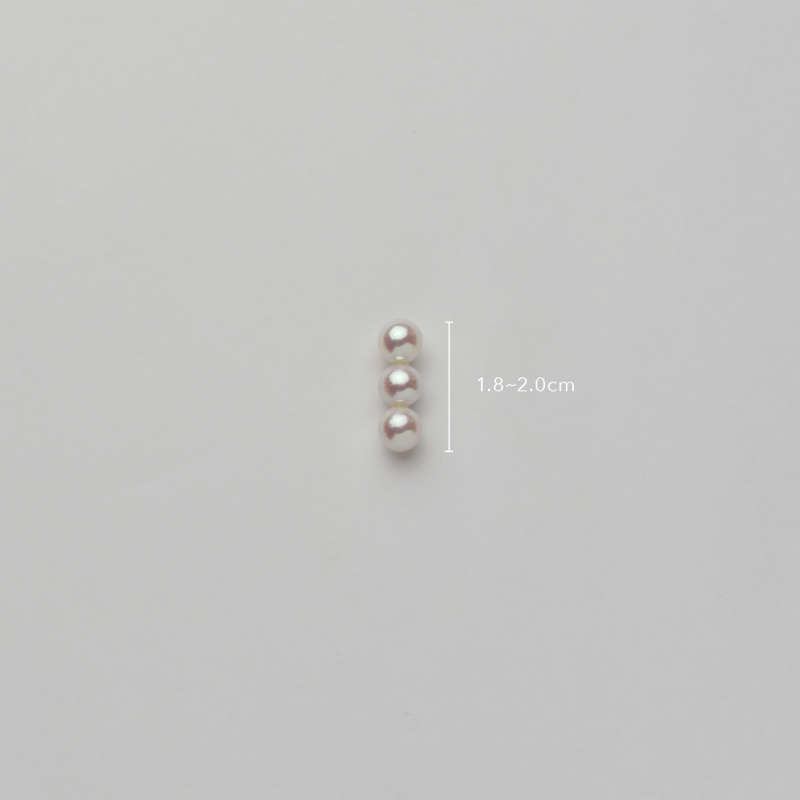 【新品未使用】ripsalis リプサリス　3line dip pearl dip] 3line dip pearl（white） | ripsalis