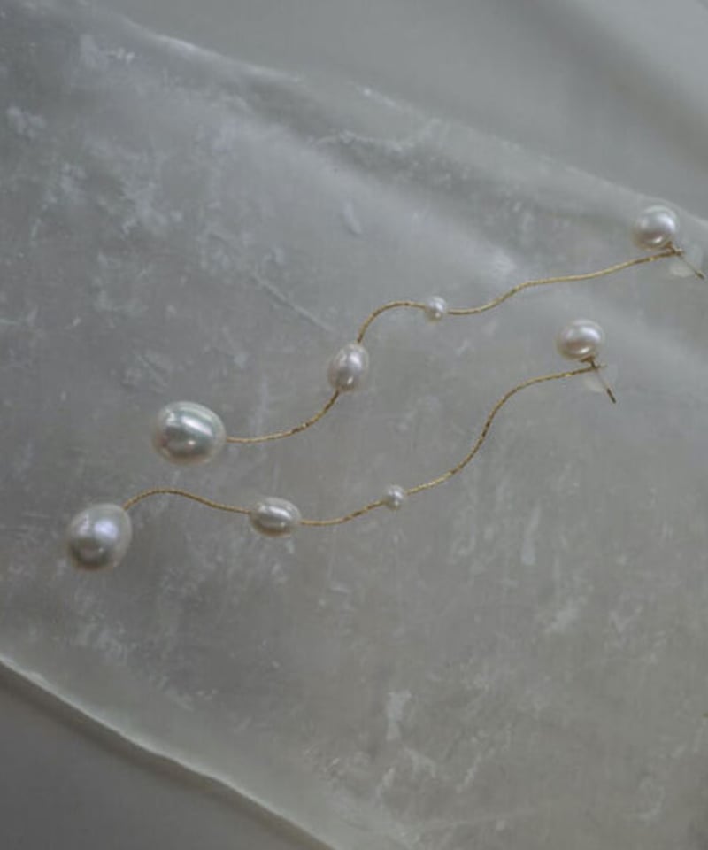 gradation dot | ripsalis