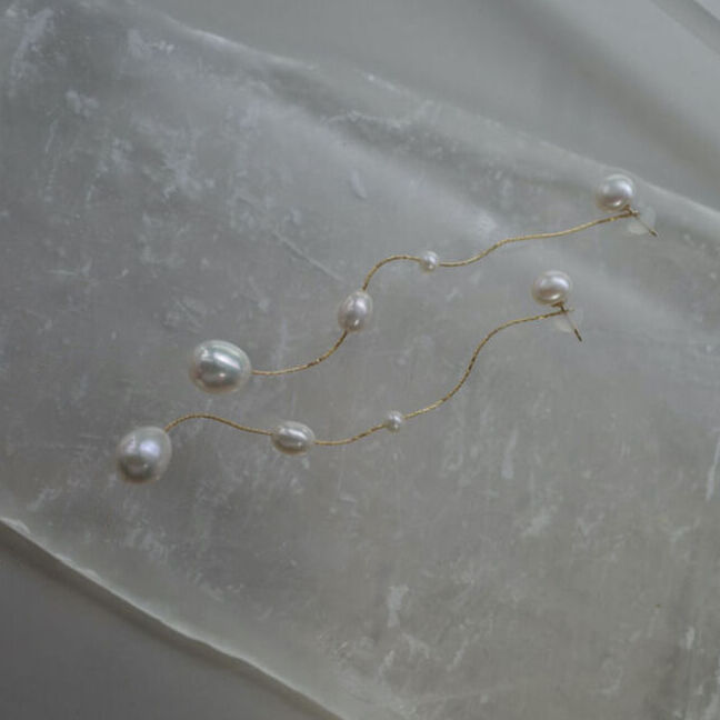 gradation dot | ripsalis