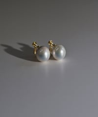 3dot pearl | ripsalis