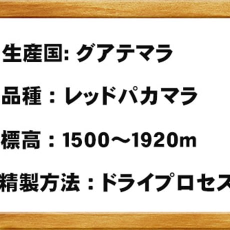 グァテマラ　インフェルト農園　レッドパカマラ　ドライプロセス　100ｇ