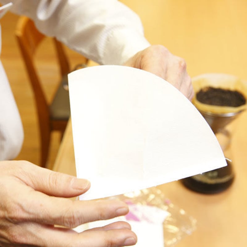 オデッセイのフィルターランド　日本語版　Foil　5枚セット 100枚入り※圧着フィルターに 松屋式3～5杯用フィルター マジック：ザ・ギャザリング