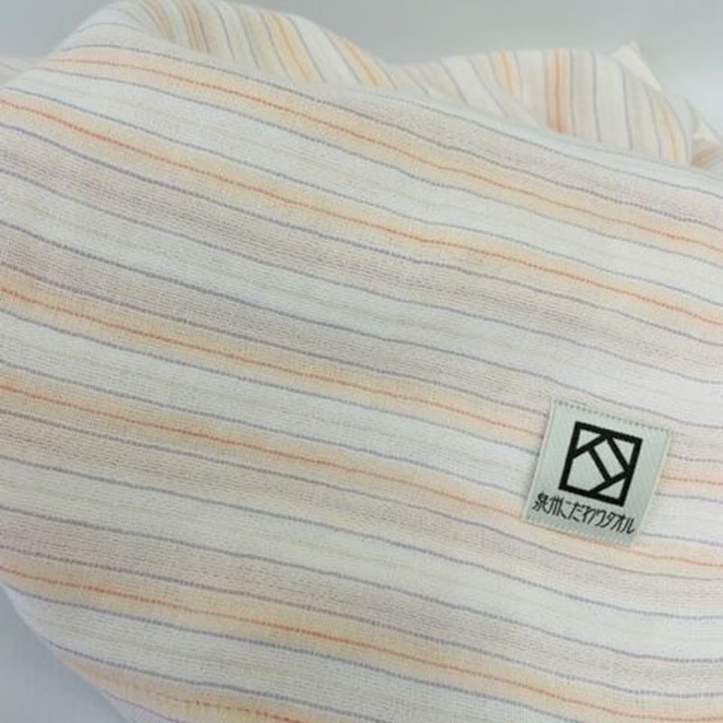 shanti様　ご注文品 BDS様フルラッピング Part.2 - ガレージシャンティ（GARAGE SHANTI）